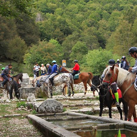 Agriturismo Maneggio Vallecupa Pescasseroli Dış mekan fotoğraf